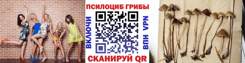Псилоцибиновые грибы прущие грибы  Купить где  Лениногорск 